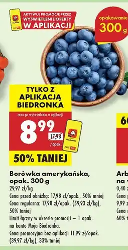 Biedronka Borówka amerykańska Biedronka oferta