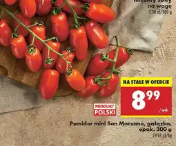 Biedronka Pomidor mini San Marzano gałązka Biedronka oferta