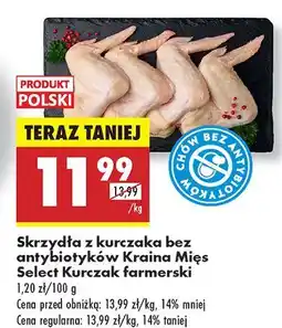 Biedronka Skrzydła z kurczaka bez antybiotyków Kraina Mięs Select Kurczak farmerski oferta