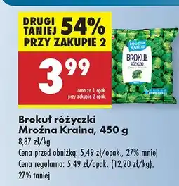 Biedronka Brokuł różyczki Mroźna Kraina oferta