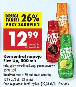 Biedronka Koncentrat napoju Fizz Up 500 ml oferta