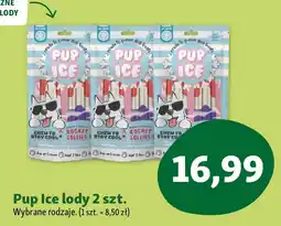 Maxi Zoo Pup Ice lody oferta