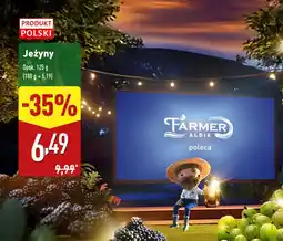 ALDI Jeżyny Aldi oferta