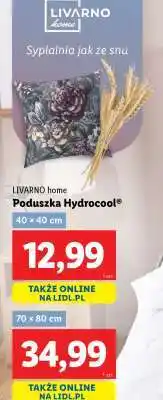 Lidl LIVARNO home Poduszka Hydrocool 40 x 40 cm oferta
