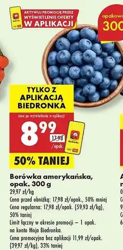 Biedronka Borówka amerykańska opak 300 g oferta
