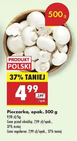 Biedronka Pieczarka opak 500 g oferta
