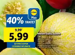 Lidl Melon Galia, luzem oferta