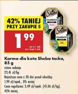 Biedronka Karma dla kota Sheba tacka 85 g oferta