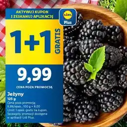 Lidl Jeżyny oferta
