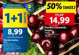 Lidl Polskie maliny oferta