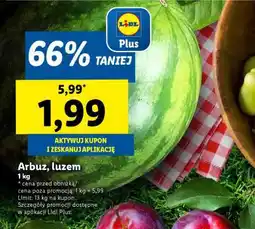 Lidl Arbuz luzem oferta