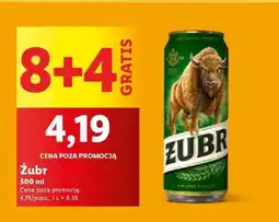 Lidl Żubr oferta