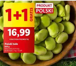 Lidl Polski bób oferta