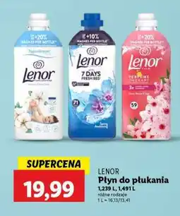 Lidl LENOR Płyn do płukania oferta