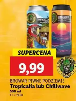 Lidl Browar Piwne Podziemie Tropicalia lub Chillwave oferta