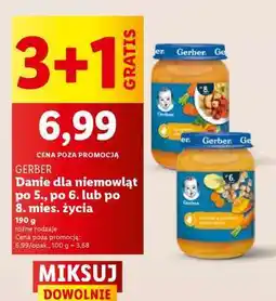Lidl GERBER Danie dla niemowląt oferta