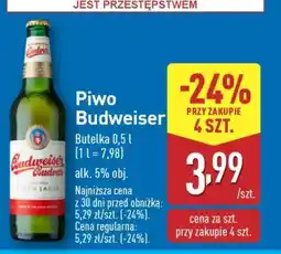 ALDI Piwo Budweiser oferta