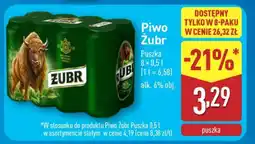 ALDI Piwo ŻUBR oferta