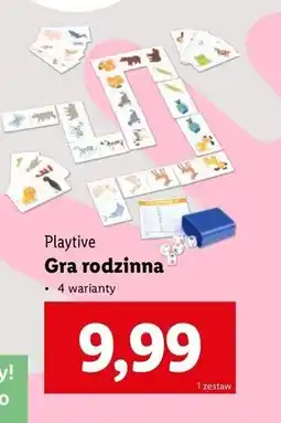 Lidl Gra karciana Playtive oferta
