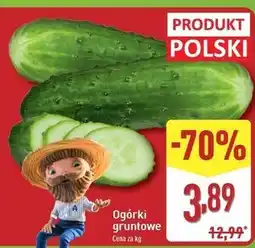 ALDI Ogórek gruntowy polska oferta