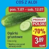 ALDI Ogórek gruntowy oferta