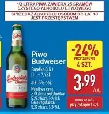 ALDI Piwo Budweiser Budvar oferta