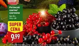 ALDI Porzeczka czerwona oferta