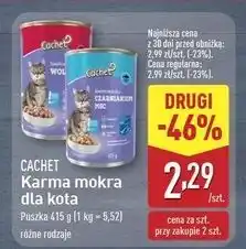 ALDI Karma dla kota z czarniakiem Cachet oferta