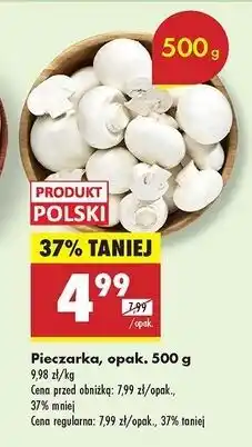 Biedronka Pieczarki oferta