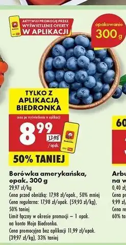 Biedronka Borówki amerykańskie oferta