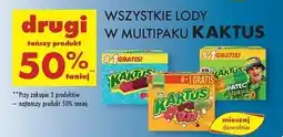 Biedronka Lody big jungle patec Nestle Kaktus oferta