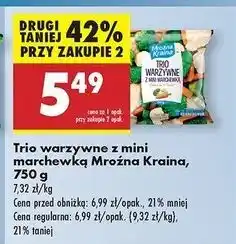 Biedronka Trio warzywne Mroźna Kraina oferta