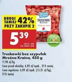 Biedronka Truskawki Mroźna Kraina oferta