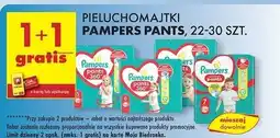 Biedronka Pieluchomajtki 4 maxi Pampers Pants oferta