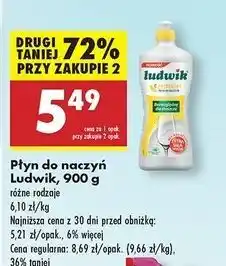 Biedronka Płyn do naczyń cytrynowy Ludwik oferta