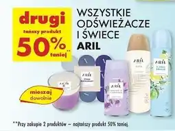 Biedronka Podgrzewacze intense blackcurrant Aril oferta