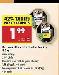 Biedronka Karma dla kota z łososiem Sheba Classics oferta