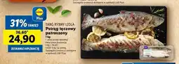 Lidl Pstrąg tęczowy patroszony cały Targ Rybny Lidla oferta
