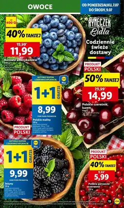 Lidl Jeżyny oferta