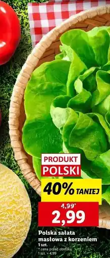 Lidl Sałata masłowa oferta