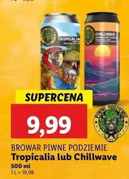 Lidl Piwo chillwave Piwne Podziemie oferta
