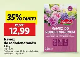 Lidl Nawóż do rododendronów Grandiol oferta
