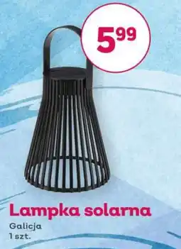 Bliski Lampka solarna Galicja oferta