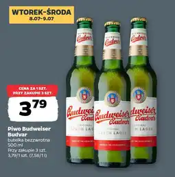 Netto Piwo Budweiser Budvar oferta