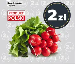 Netto Rzodkiewka oferta