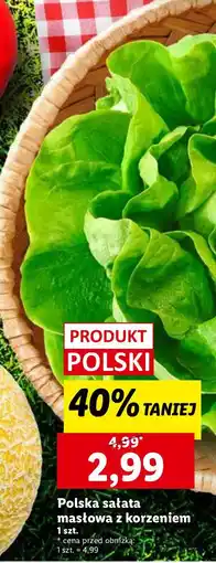 Lidl Sałata masłowa z korzeniem Lidl oferta