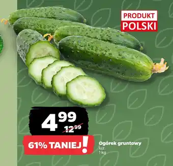 Netto Ogórek gruntowy oferta