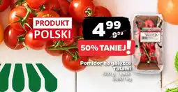 Netto Pomidor na gałązce Tatami oferta