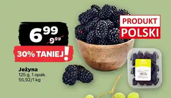 Netto Jeżyna oferta