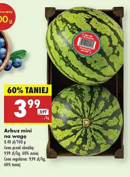 Biedronka Arbuz mini na wagę Biedronka oferta
